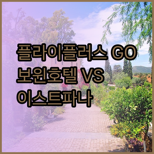 플라이 플러스 GO 이스트파나 보윈 호텔 어디가 좋을까..