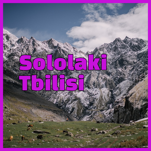 Communal Sololaki.. A Stylish and Authentic Tbilisi Experience..