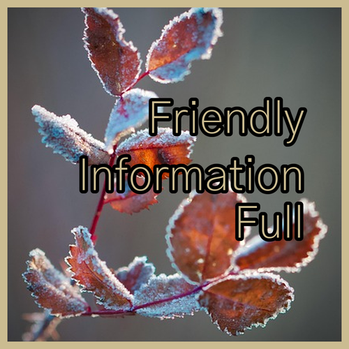 Your Fukui Adventure Starts Here.. Unforgettable Hotel Experiences!