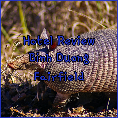 Binh Duong Hotel Review.. Exploring Fairfield Marriott, HIIVE by Fusion, and The Emerald Golf View