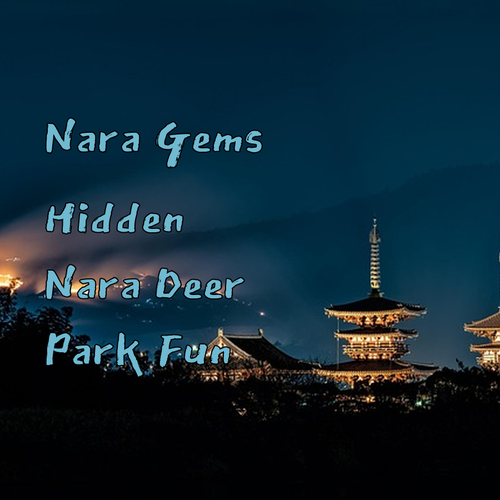Discover Nara’s Hidden Gems! Nara Hakushikaso Awaits..