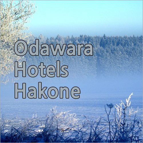 Odawara Hotels.. Your Guide to Comfort and Convenience near Hakone