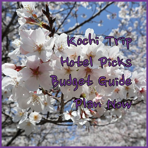 Plan Your Kochi Trip.. Top Hotel Picks for Every Budget?