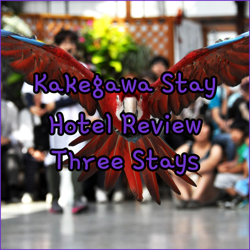 My Kakegawa Hotel Experience.. A Review of Three Unique Stays..