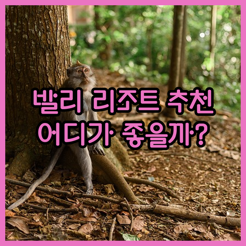 르네상스 발리 누사두아 리조트 vs 카니슈카 빌라 vs 알라야 리조트 우붓…나에게 맞는 곳은?