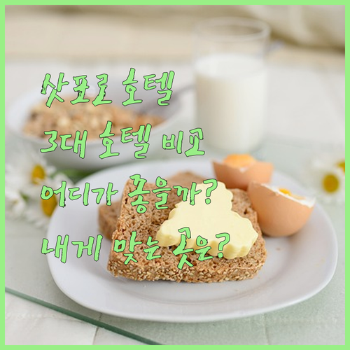 삿포로 3대 호텔 특급 비교 분석 당신에게 맞는 호텔은 어디일까요