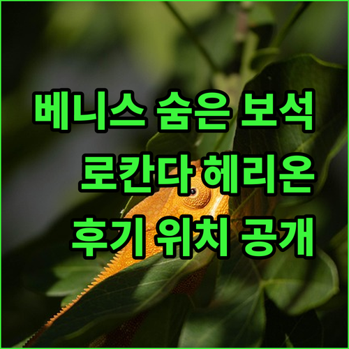 베니스 로칸다 헤리온.. 숨겨진 보석 같은 매력? 위치와 후기를 통해 알아보는 진솔한 이야기..