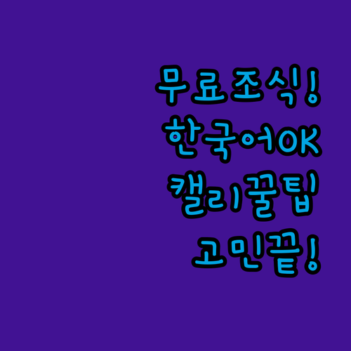무료 조식과 한국어 서비스까지, 캘리포니아 숙소 고민 끝내는 꿀팁 대방출