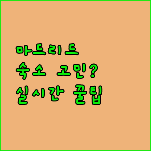 마드리드 숙소 선택 고민 끝 실시간 리뷰로 보는 세 곳의 모든 것
