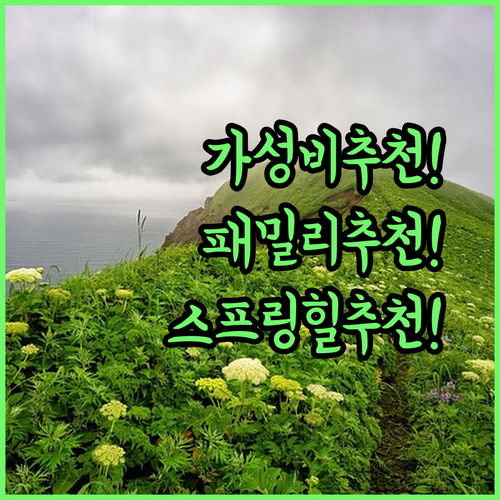 브리즈번 여행 필독, 가성비부터 패밀리까지 스프링힐 숙소 추천