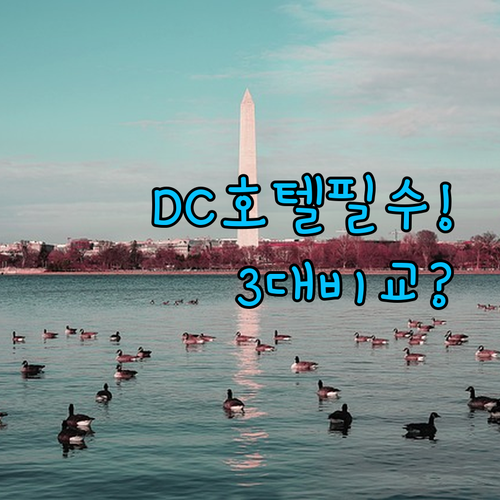 워싱턴 DC 여행 필수 코스 3대 호텔 완벽 비교 추천