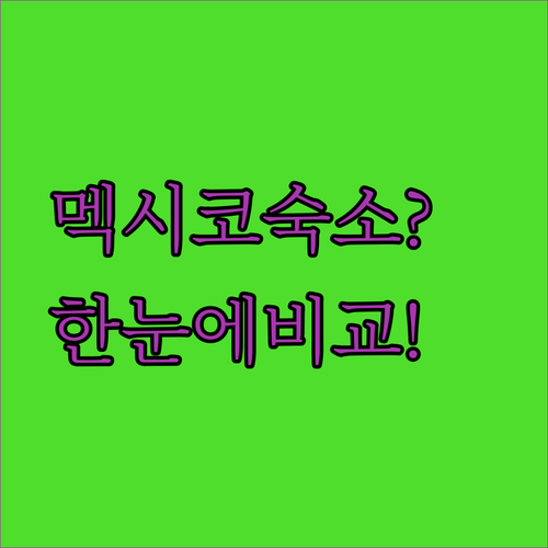 위치부터 가격까지 한눈에 비교하는 멕시코시티 인기 숙소 분석